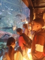 WYCIECZKA DO EGZOTARIUM
